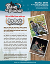 Check out the latest newsletter from Beyond the Backyard!